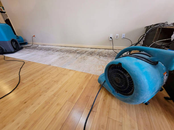 Professional Water Removal technician working in Hamburg, IA